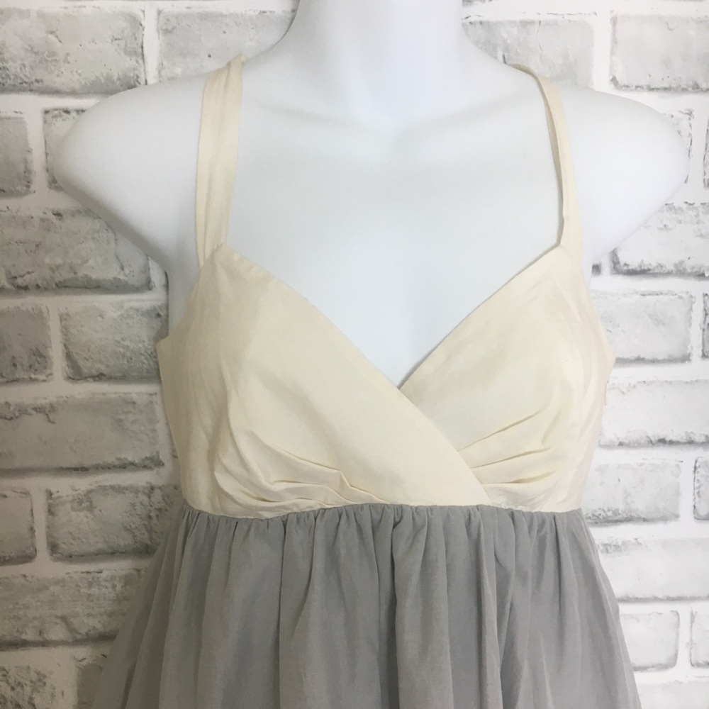 Cream and Gray Silk Dress